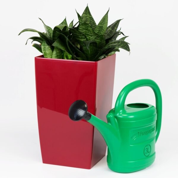KONEWKA SPRING  3l  ZIELONA